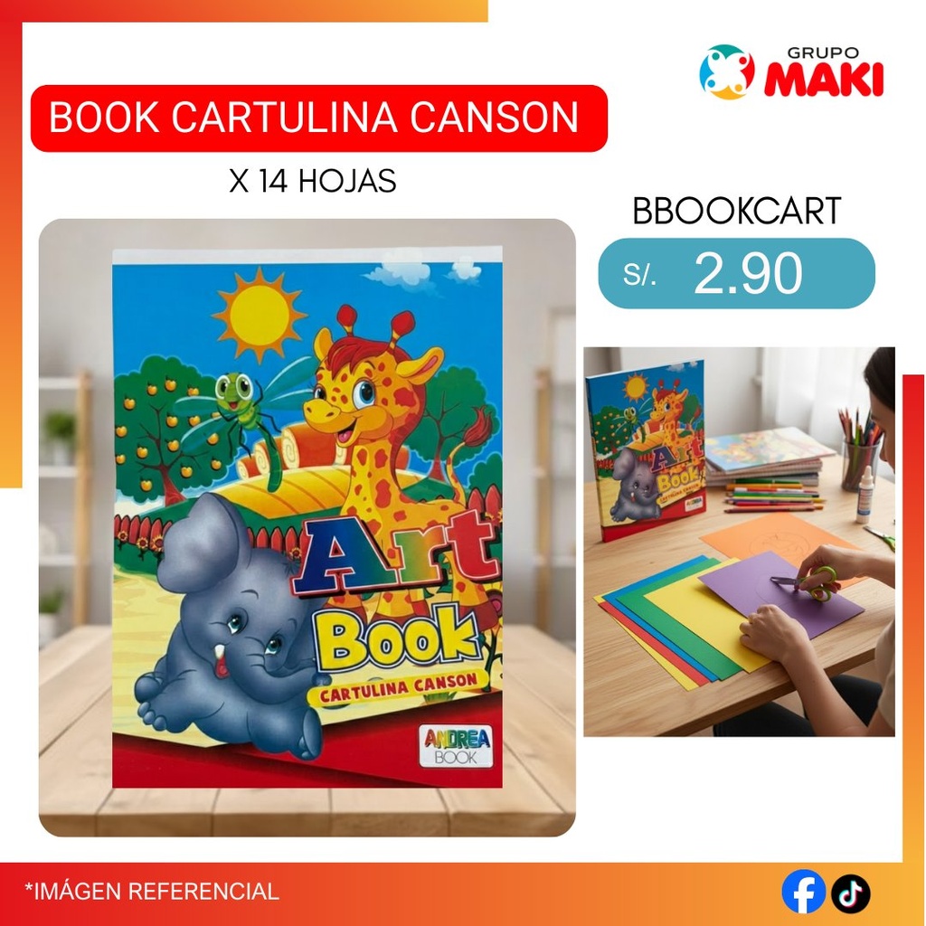 BOOK CARTULINA CANSON X 14 HOJAS 
