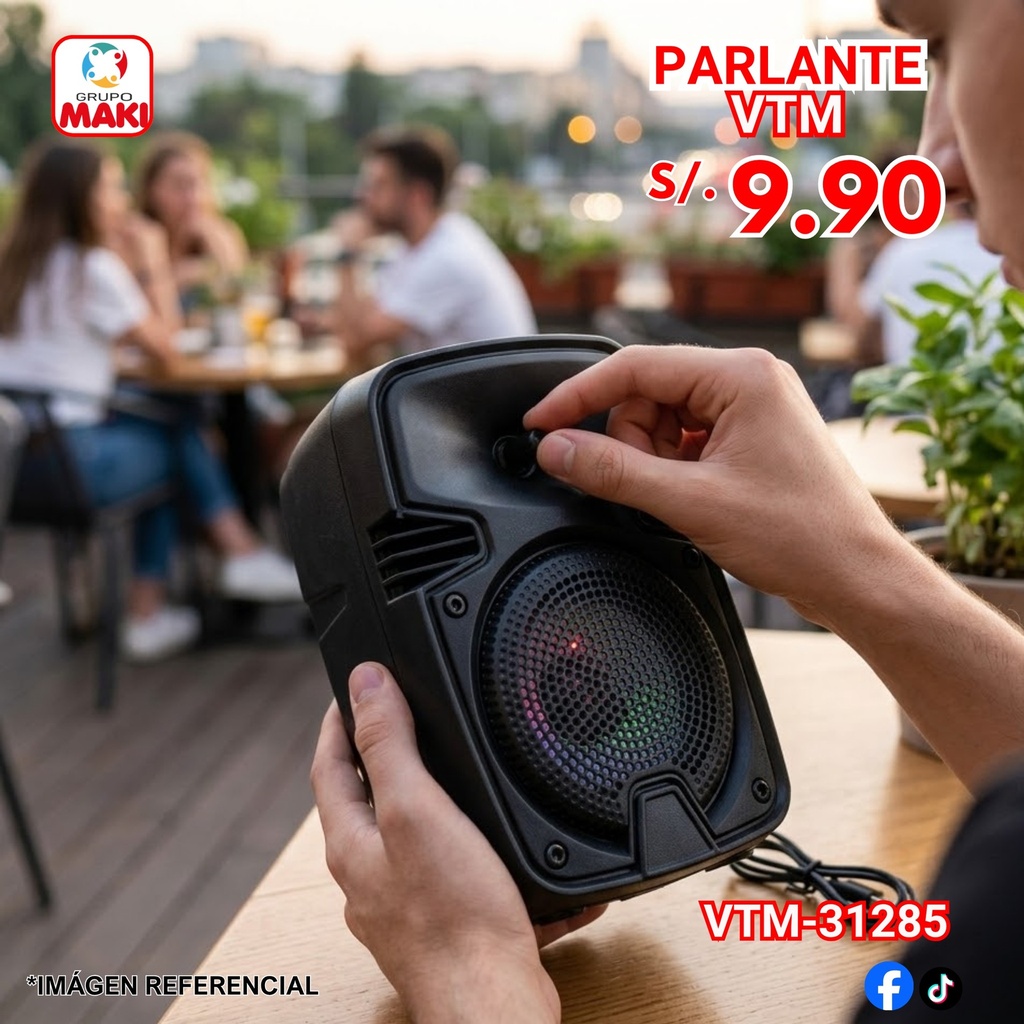PARLANTE VTM-31285 22/05