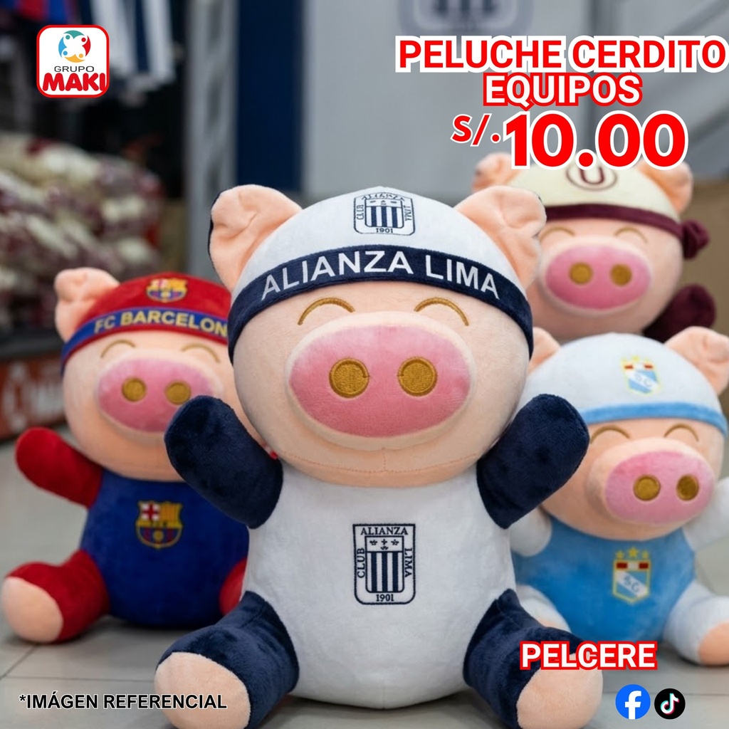 PELUCHE CERDITO DE EQUIPOS 27/05